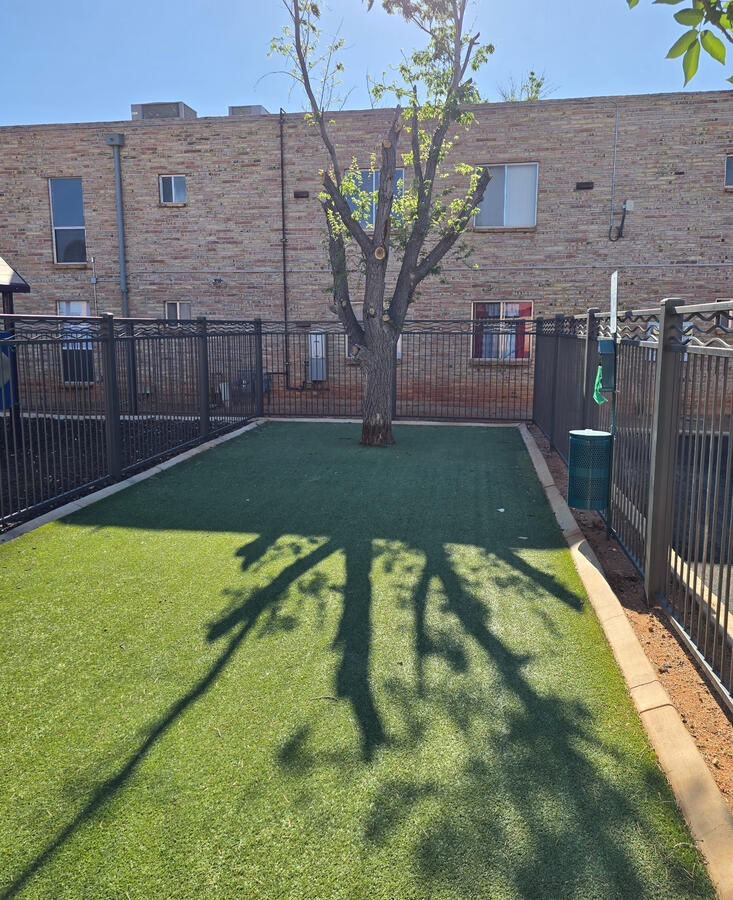 Doggy Park